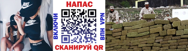 Шишки марихуана план  Купить закладки  Снежинск 